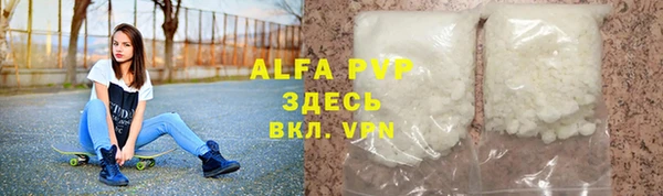 гашик Михайлов