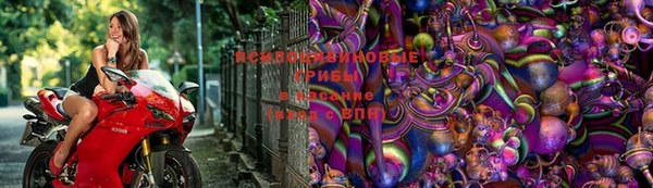 Альфа ПВП Михайловск