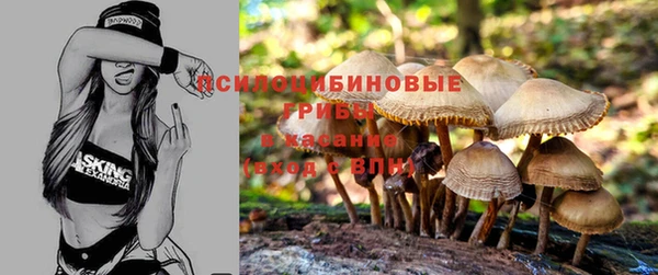 альфа пвп Михайловка