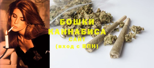 гашик Михайлов