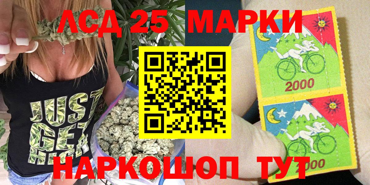 МЕФ Губаха
