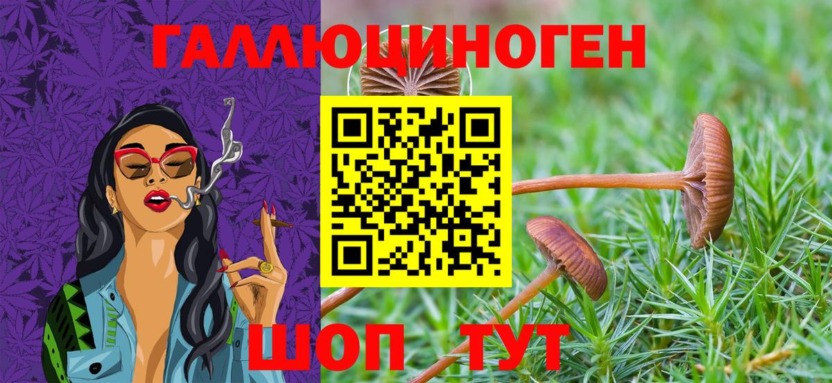 LSD-25 Губаха