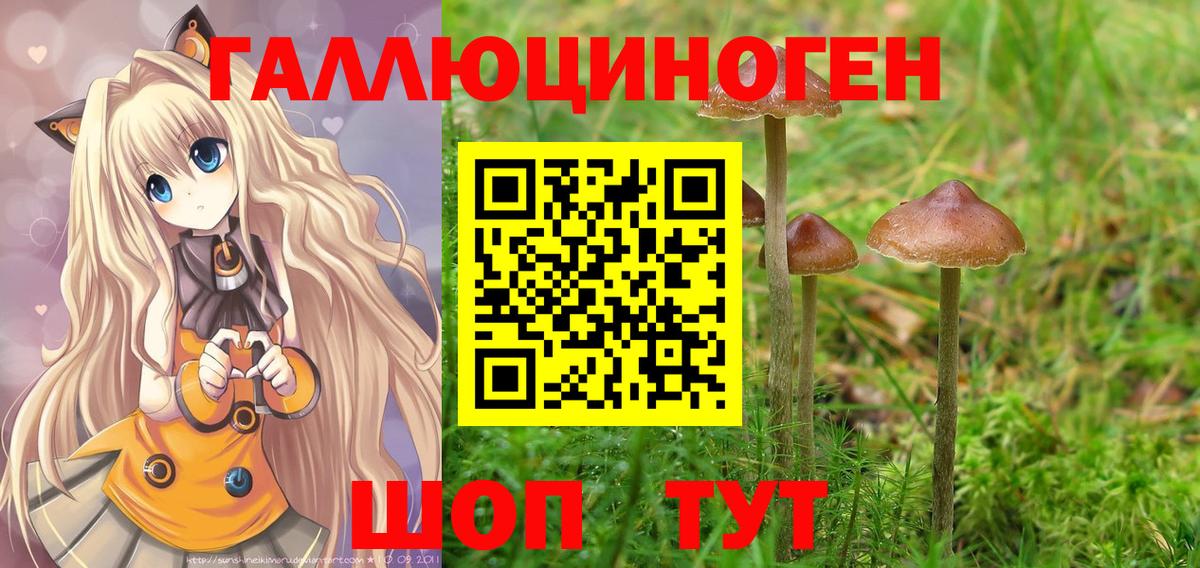 Губаха  Псилоцибиновые грибы мухоморы  цены наркотик  Псилоцибиновые грибы Psilocybine cubensis  Вход с VPN 
