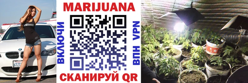 Марихуана Bruce Banner  что такое   Губаха 