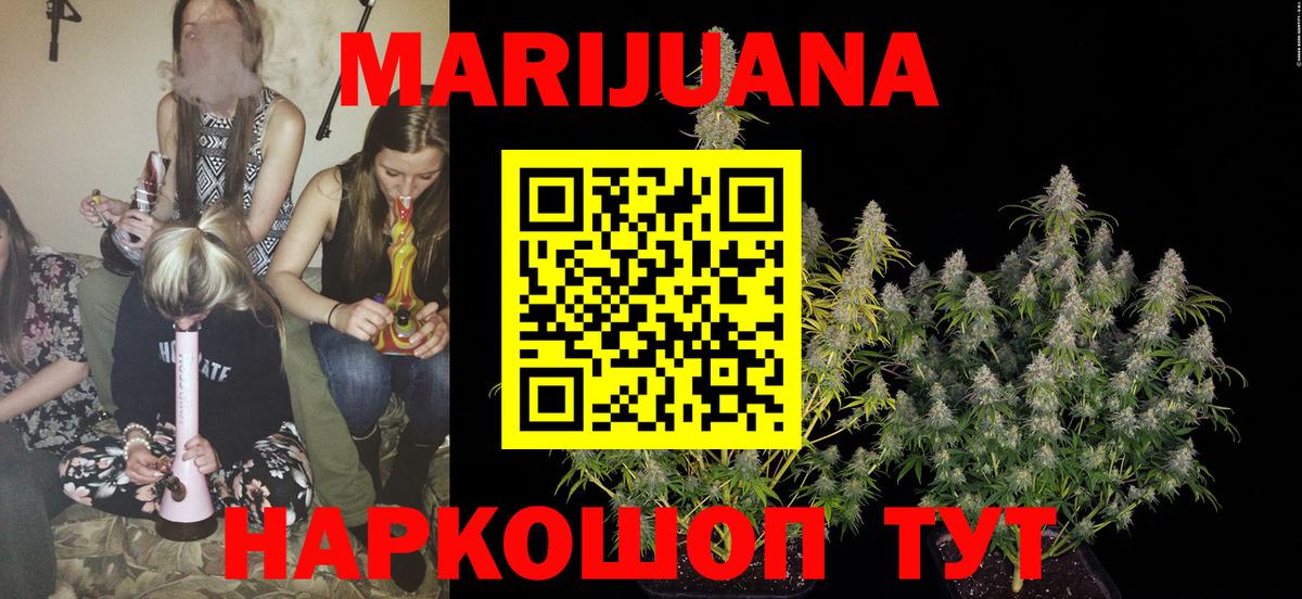 Каннабис ГИДРОПОН Губаха